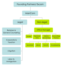 45 Valid Law Firm Organizational Structure