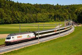 pin su switzerland suisse schweiz