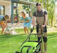 Amazon.com : SWIPESMITH Electric Dethatcher Scarifier, 16 ...