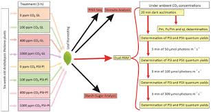 Image result for Vert 1989 ARO