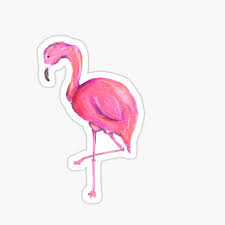 We did not find results for: Flamingo Gifts Merchandise Redbubble