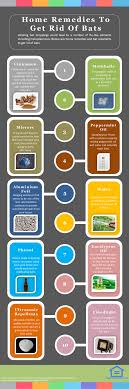 We did not find results for: 19 Home Remedies And Bat Repellents To Get Rid Of Bats