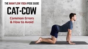 Customize your workouts simply by adding or removing sworkit exercises. Cat Cow Technique Walkthrough Youtube