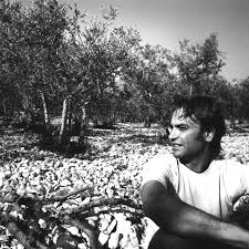 Oliveoillovers Com On Instagram Meet A Producer Marco Viola The Viola Family Has Cultivated Olives And Produced Oil Family Traditions Instagram Posts Olive