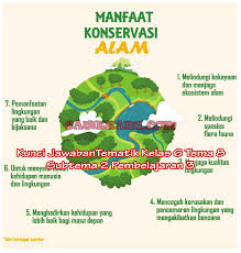 Kunci jawaban buku tematik kelas 6 sd tema 9 terdapat 3 subtema. Kunci Jawaban Buku Tematik Kelas 6 Tema 3 Berbagai Buku