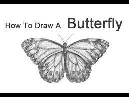 How To Draw A Butterfly Youtube Most videos are less than 3 minutes. how to draw a butterfly