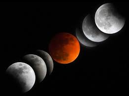 At a table with two chairs and two bowls, star sits in a kneeling position in one of the chairs and stares at the ceiling. Eclipse 2019 Uae What Time Is The Super Blood Wolf Moon How To Watch Lunar Eclipse Science News Express Co Uk