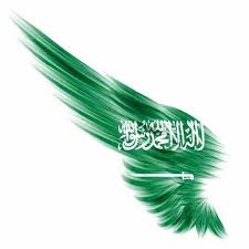 وقت النهار ليس فرصة للخروج ابقوا في منازلكم لسلامتكم in 2020 national day saudi independence day photos picture logo