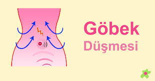 Gobek Dusmesi Vikipedi