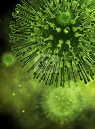 Pin On Under The Microscope