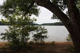 Amy Weingartner Branigin Peninsula Preserve