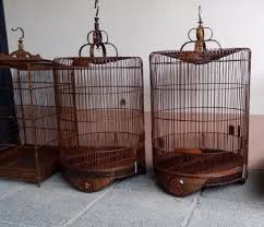 Ukuran sangkar burung kacer standarnya yaitu 45x45. Persiapan Sangkar Burung Kicau Beserta Kelengkapannya