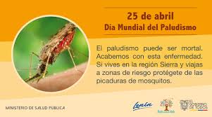 Quedan 250 días para finalizar el año. Salud Ec Sur Twitter 25 De Abril Dia Mundial Del Paludismo O Malaria Es Una Enfermedad Potencialmente Mortal Causada Por Parasitos Que Se Transmiten Al Ser Humano Por La Picadura De Mosquitos