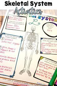 Skeletal System Human Body Teach And Reinforce Concepts Related To Our Skeleton Us Skeletal System Activities Human Body Lesson Plans Human Skeletal System