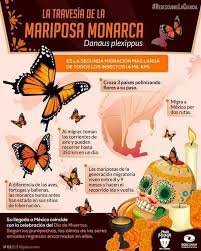 Pin En Biologia