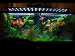 Pin On Vivarium Idea S Supplies