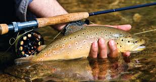 Fly Fishing in North Carolina | Our State