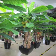 This large artificial banana leaf plant looks just like the real thing but requires none of the maintenance of a real plant, making it a convenient option for those who travel a lot or lack a green thumb. Mini And Large Artificial Banana Trees Alibaba Com