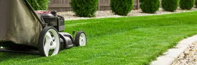 Keep your mower running smoothly, season after season with genuine toro parts and accessories. Dr Mower Parts Home Facebook