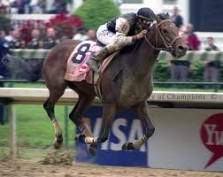 2009 kentucky derby mine that bird gallery of champions