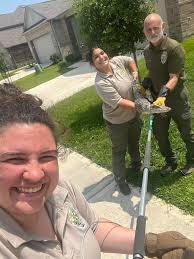 Opossums, deer, and alligators oh my. It's been a wildlife Wednesday for  sure! #NotJustADogCatcher #wildlifewednesday