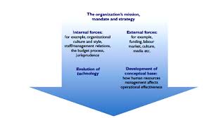 flow chart of human resource management figure 2 depicts the