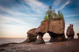 The Hopewell Rocks Where You Can Walk On The Ocean Floor