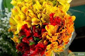 Sending flowers to someone in a different state is both a lovely idea and a quick and easy task. How To Order Flowers With Pictures Wikihow
