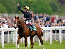 Rab Havlin pays tribute to the great Stradivarius, who has been retired  today after an incredible career