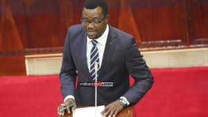 Image result for naibu waziri mpina
