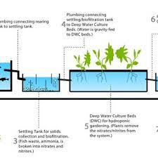 Pdf Aquaponics An Innovative Approach Of Symbiotic Farming