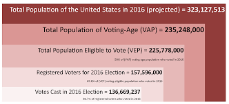 political participation voter turnout and registration