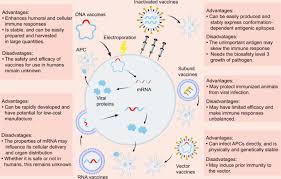 Vaccine generation usually demands years of developing and testing for efficacy and safety. A Systematic Review Of Sars Cov 2 Vaccine Candidates Signal Transduction And Targeted Therapy
