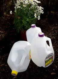 Lots of plant plastic pots to choose from. How To Upcycle Plastic Milk Jugs Hello Homestead