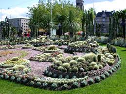 The makeup of the soil is key, since cacti have specific density and nutritional requirements. How To Make A Cactus Bed World Of Succulents