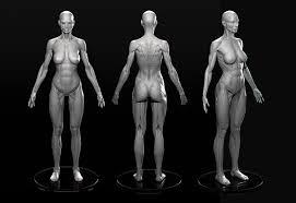 Pin On 3d