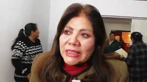 Diputada Piérola rechaza visita de Almagro