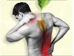 Ayurvedic Treatment For Back Pain Knee Pain Neck Pain Arthritis Spondylitis Sholder Pain Et Picture Of Cauvery Ayurveda Gramam Coimbatore Tripadvisor
