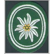 Die bundeswehr abzeichen und erkennungsmarken haben längst ihren festen platz auch als bundeswehr mützenkranz kennzeichnet hierbei die drei großen bereiche der streitkräfte innerhalb. Abzeichen Bw Gebirgsjager Edelweiss Outdoorfan De Bundeswehr Shop 3 90