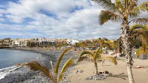 Videos for made in canarias alexis. A Bakery In Tenerife Ranked In Top 3 Spain By Repsol Guide