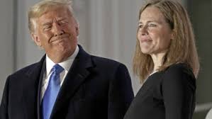 While biologists have long known that seals and sea lions have had two different. Coronavirus Us Amy Coney Barrett Blocks Limit On New York Religious Gatherings