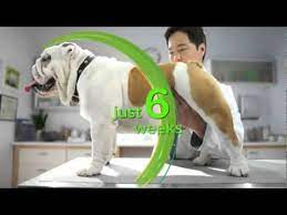 The best iams tv commercials ads iams bulldog rolling a truck commercial iams a boy and his dog duck commercial I Am An Iams Dog Youtube