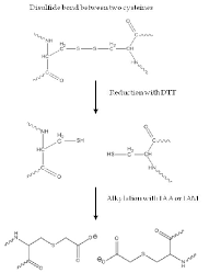 Solved Art 1 Of 1 Question 17 Of 37 0 Points Pick The One | Chegg.Com