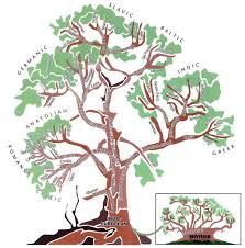Armenians who are not linguists are often under the incorrect impression that there are only two possibilities for armenian origins: Translation Blog Language Tree Language Family Tree Language
