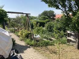Bei immobilien scout24 finden sie passende angebote für grundstücke zur pacht. Archiv Grundstuck Zu Vermieten Dresden Mapio Net