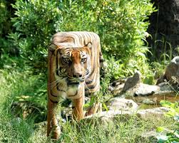 Maybe you would like to learn more about one of these? Minecraft In Real Life Retoucher Turns Real Animals Into Cubic Creations Petapixel
