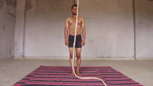 We did not find results for: Yoganidra