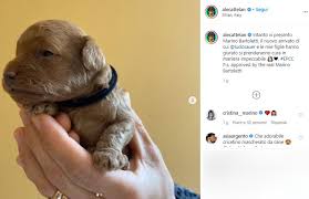 Marino bartoletti, la rivelazione a oggi è un altro giorno: Perche Aessandro Cattelan Ha Chiamato Il Suo Cane Bartoletti