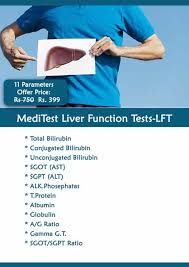 Image result for Liver Function Test