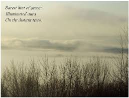 Pin By Jo Ann On Haiku Photos Haiku Poetry Haiku Poems Very Short Poems